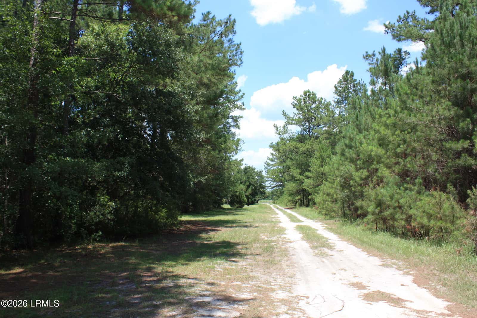 3222 Charleston Highway, Varnville, SC 29944 — photo 32 of 44