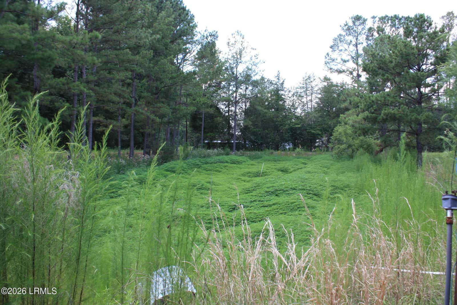 3222 Charleston Highway, Varnville, SC 29944 — photo 33 of 44