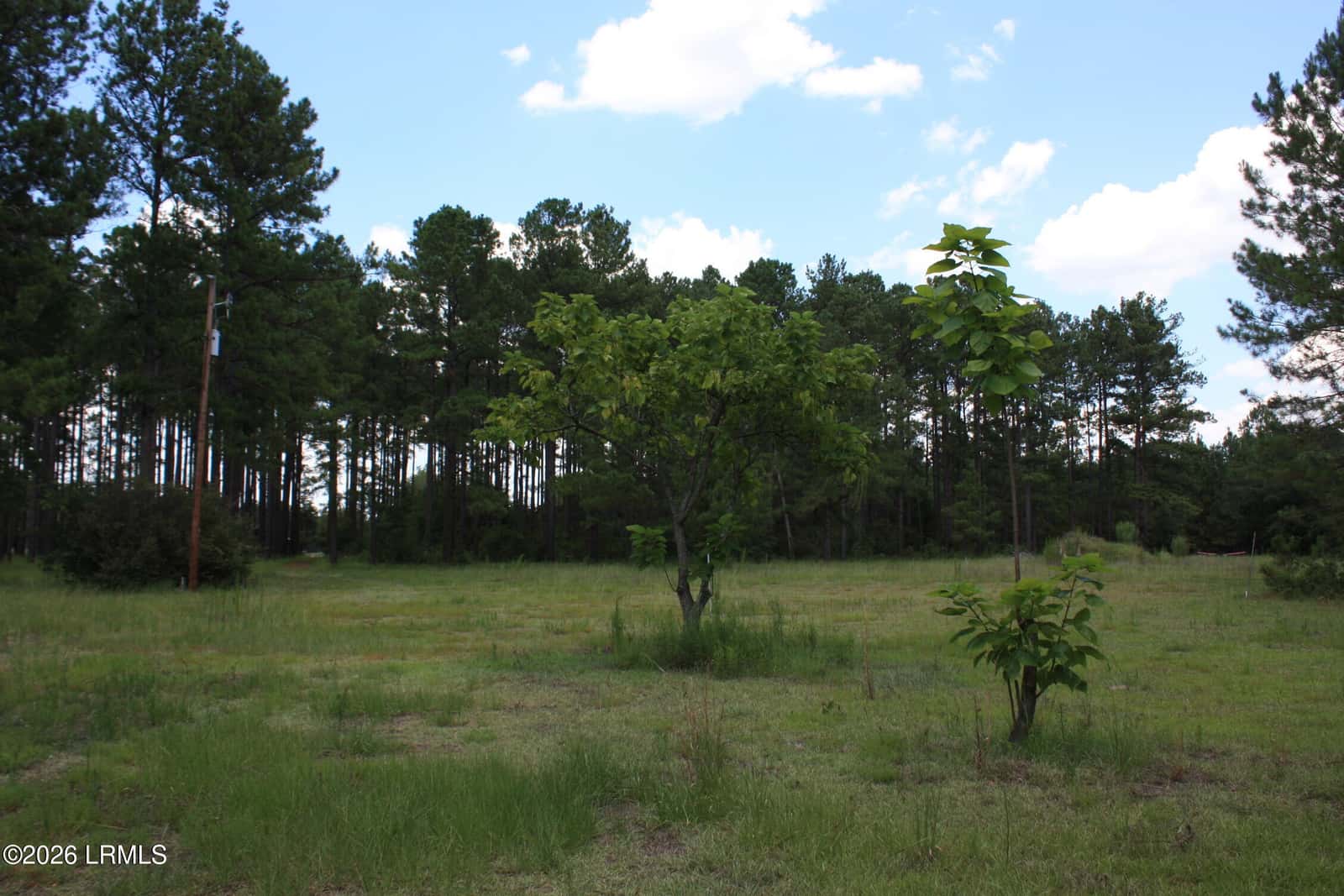 3222 Charleston Highway, Varnville, SC 29944 — photo 34 of 44