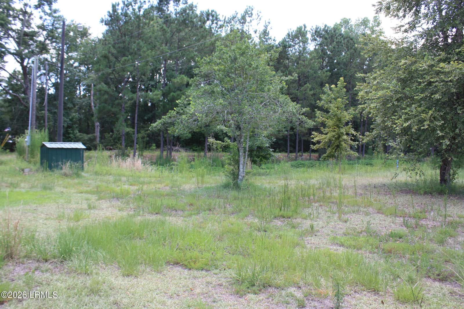 3222 Charleston Highway, Varnville, SC 29944 — photo 35 of 44