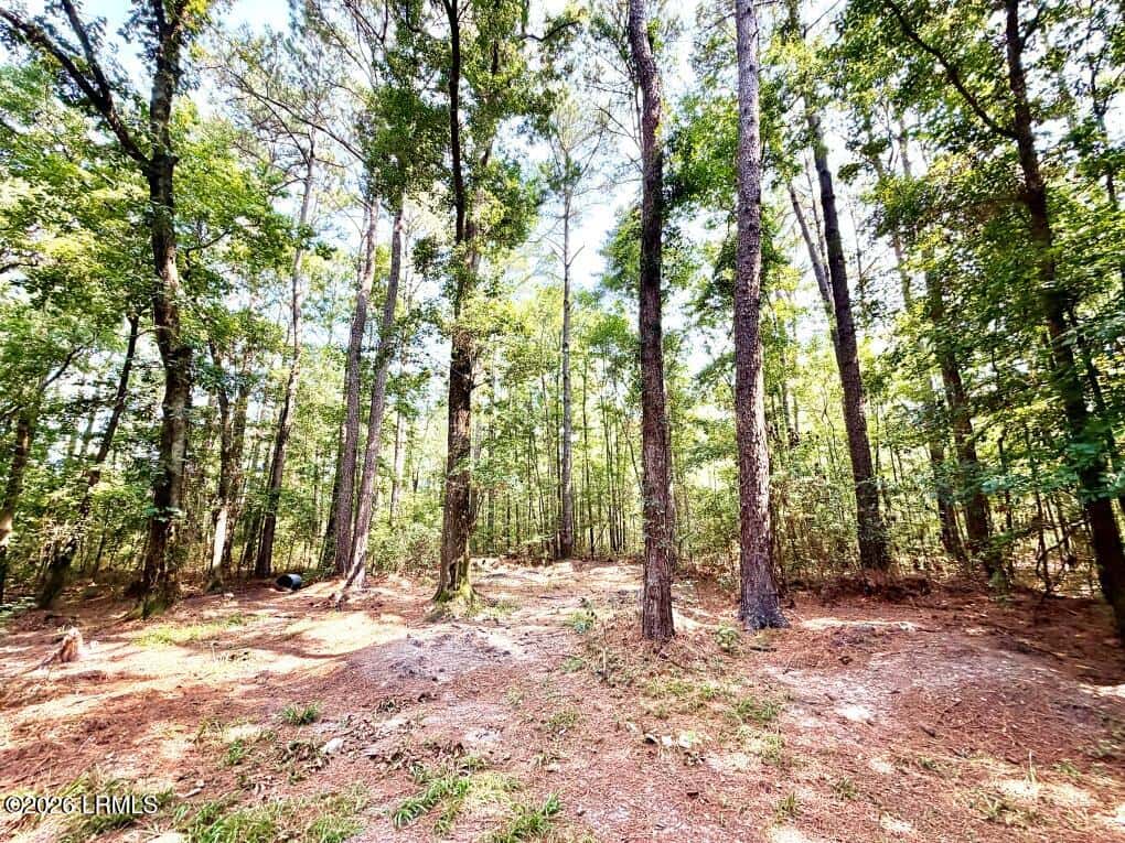 179 Song Bird Drive, Round O, SC 29474 — photo 4 of 9
