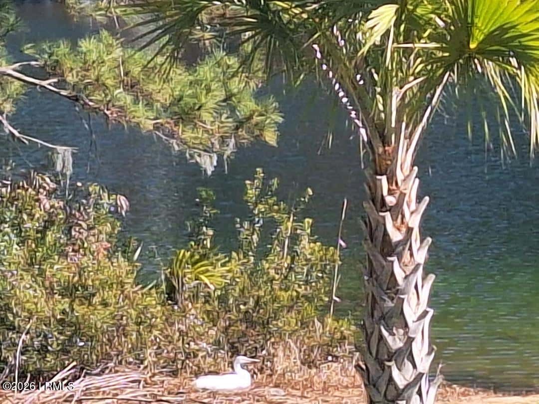 91 Front Street, St. Helena Island, SC 29920 — photo 56 of 66