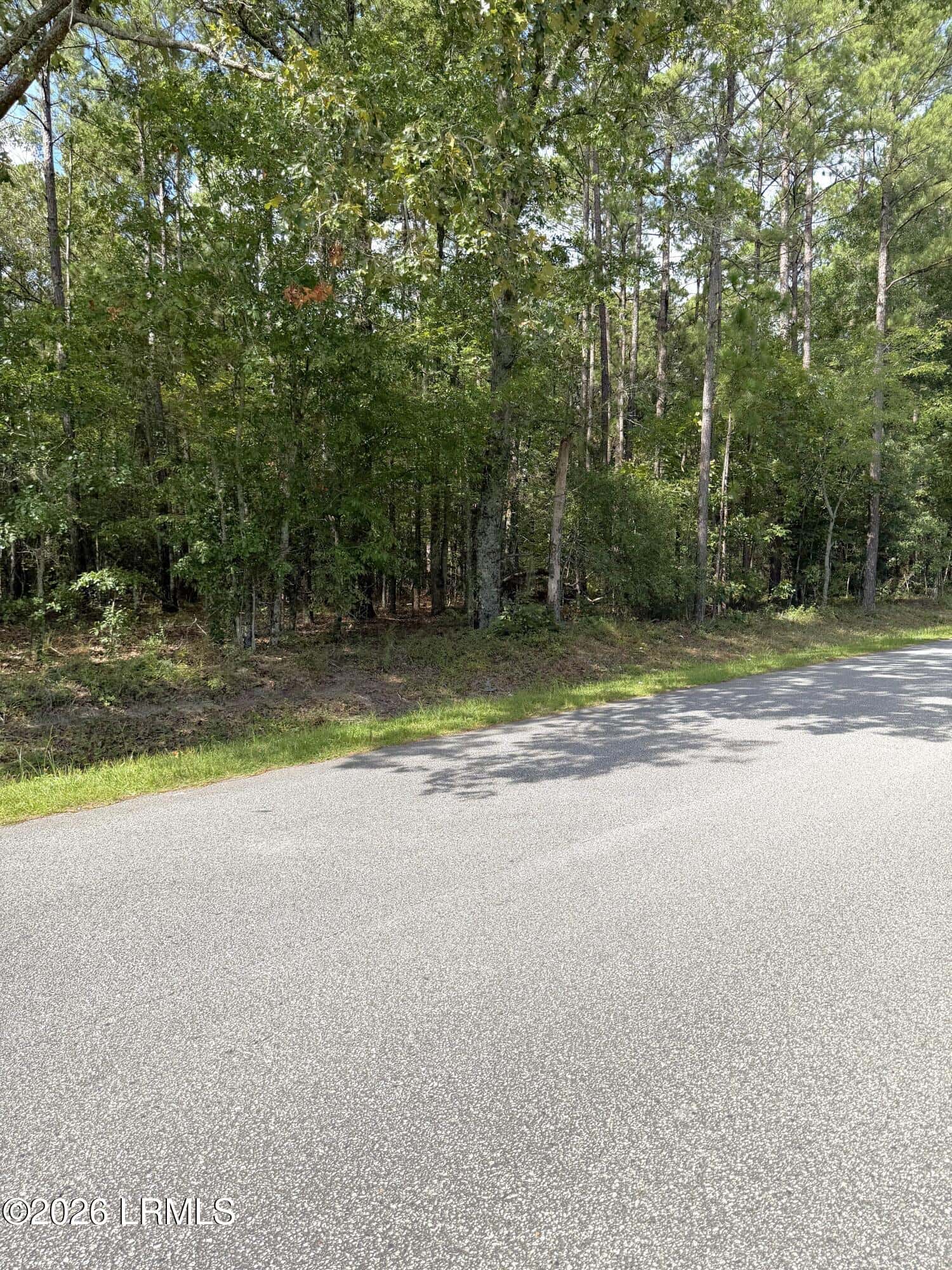 76 Honey Drive, Walterboro, SC 29488 — photo 3 of 8