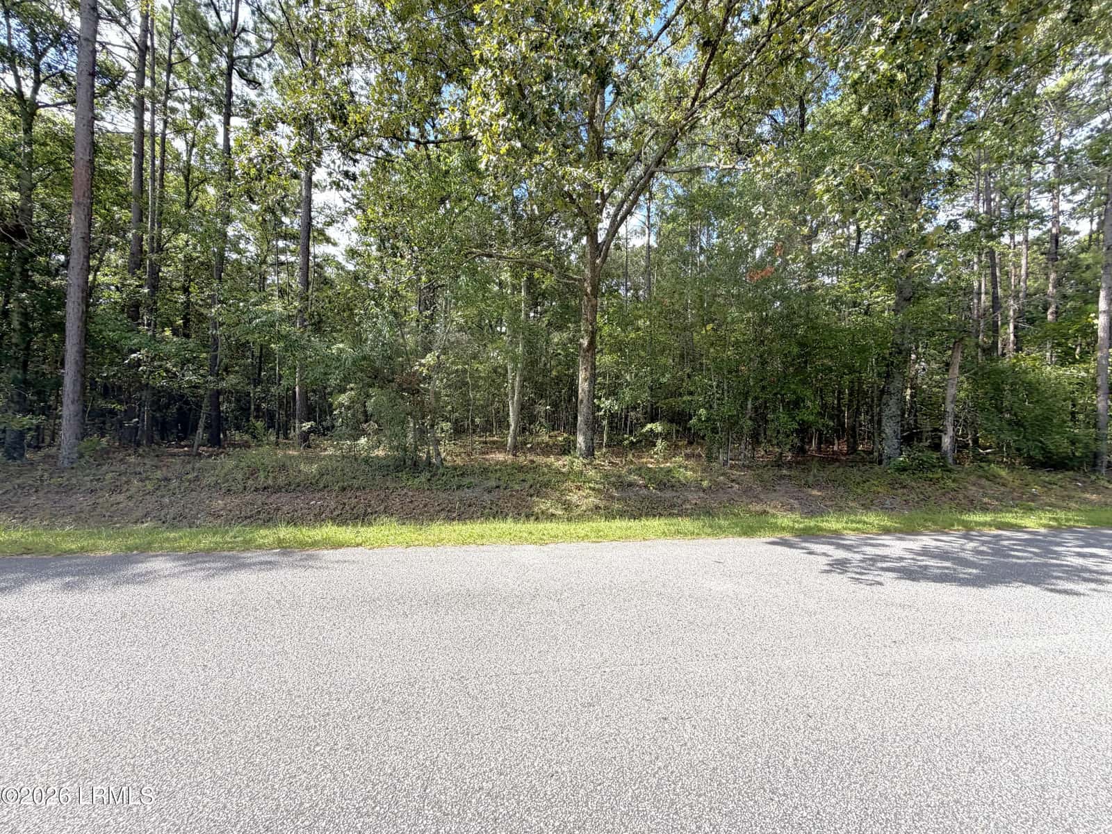 76 Honey Drive, Walterboro, SC 29488 — photo 4 of 8