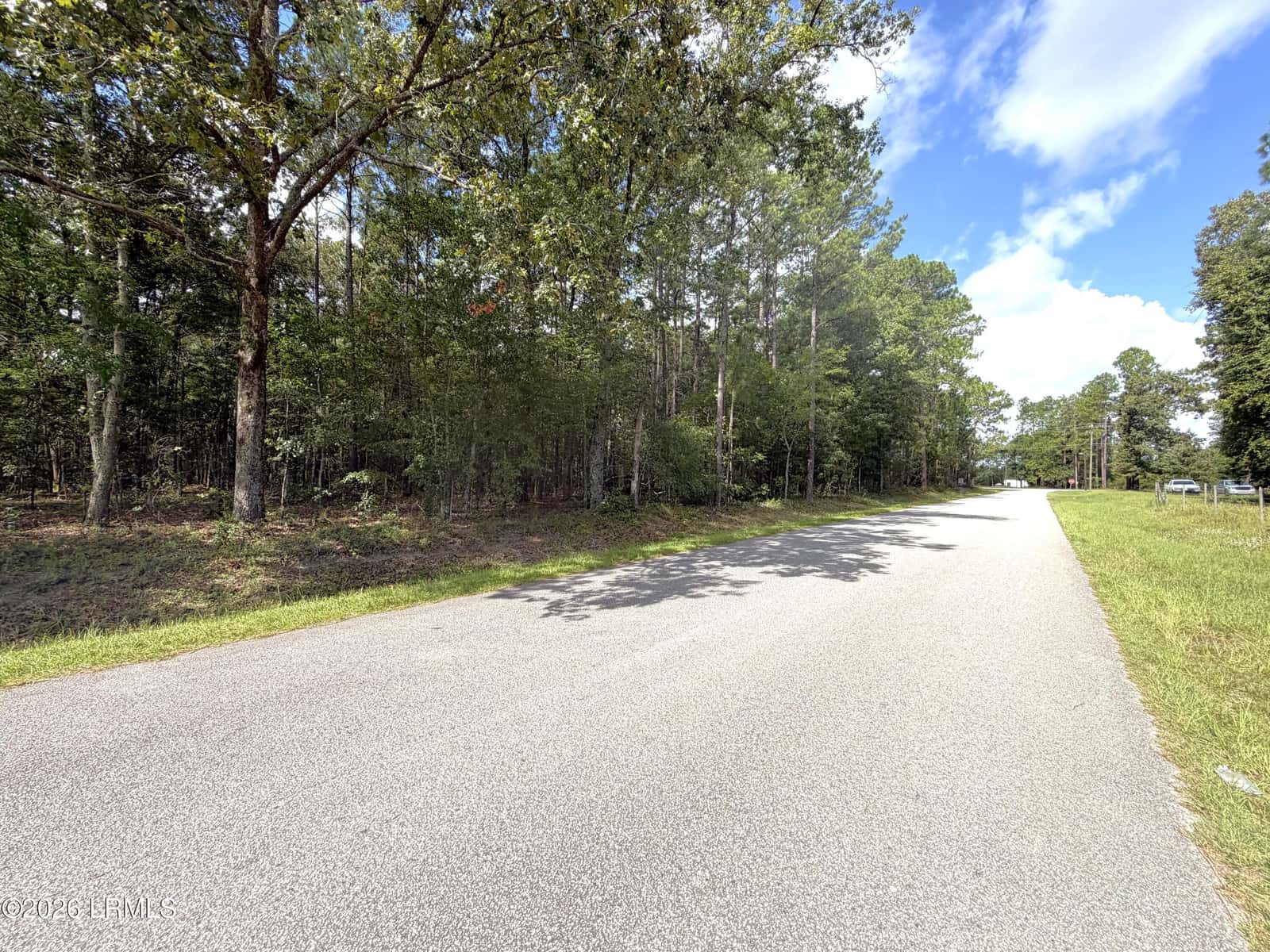 76 Honey Drive, Walterboro, SC 29488 — photo 5 of 8