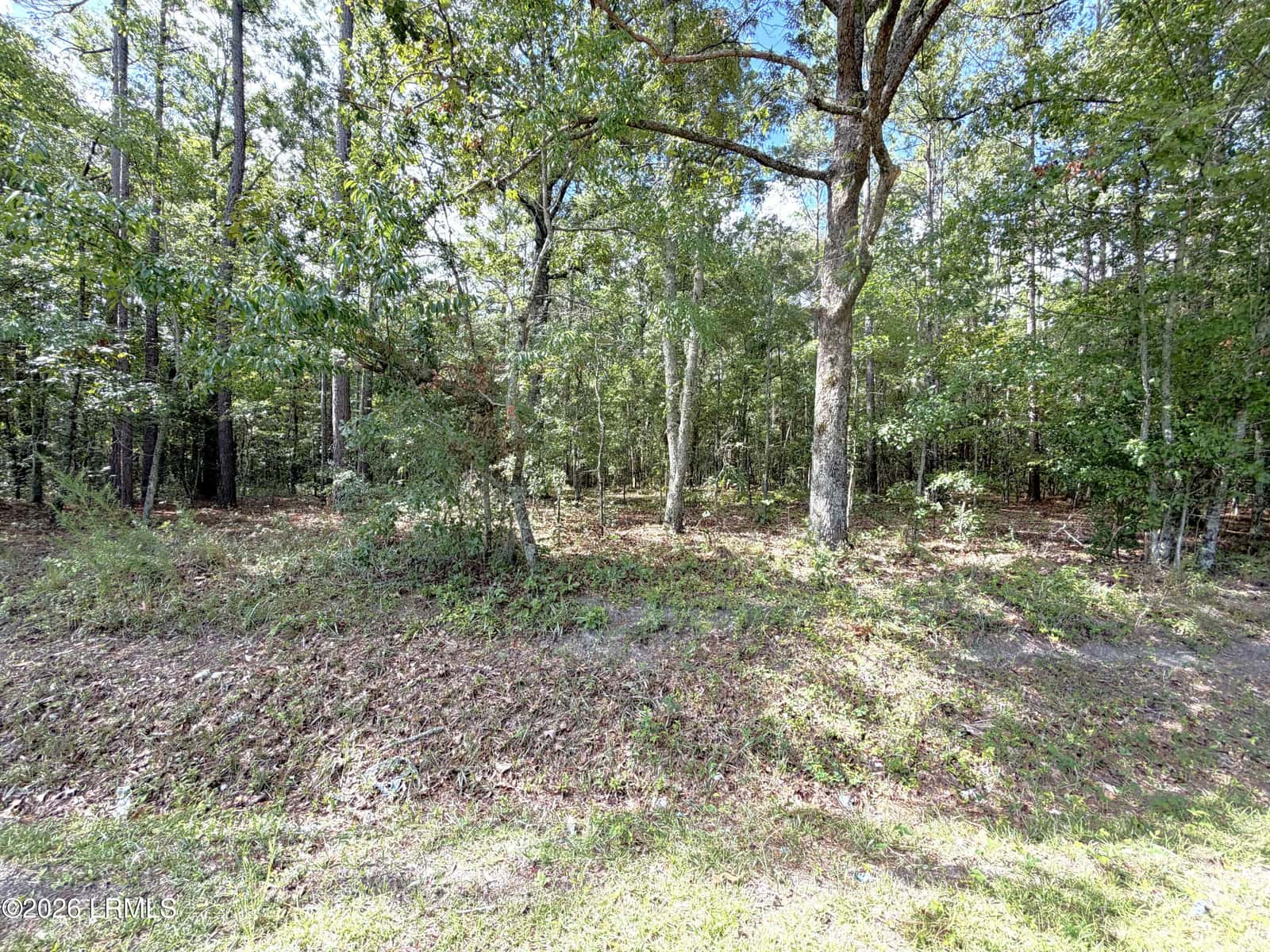 76 Honey Drive, Walterboro, SC 29488 — photo 6 of 8