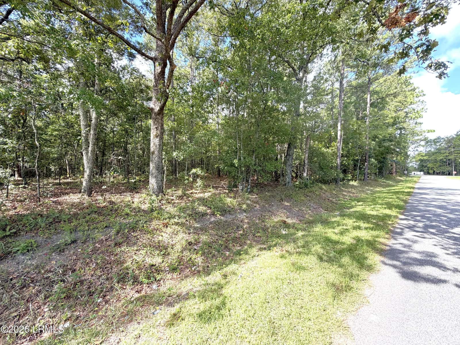 76 Honey Drive, Walterboro, SC 29488 — photo 7 of 8