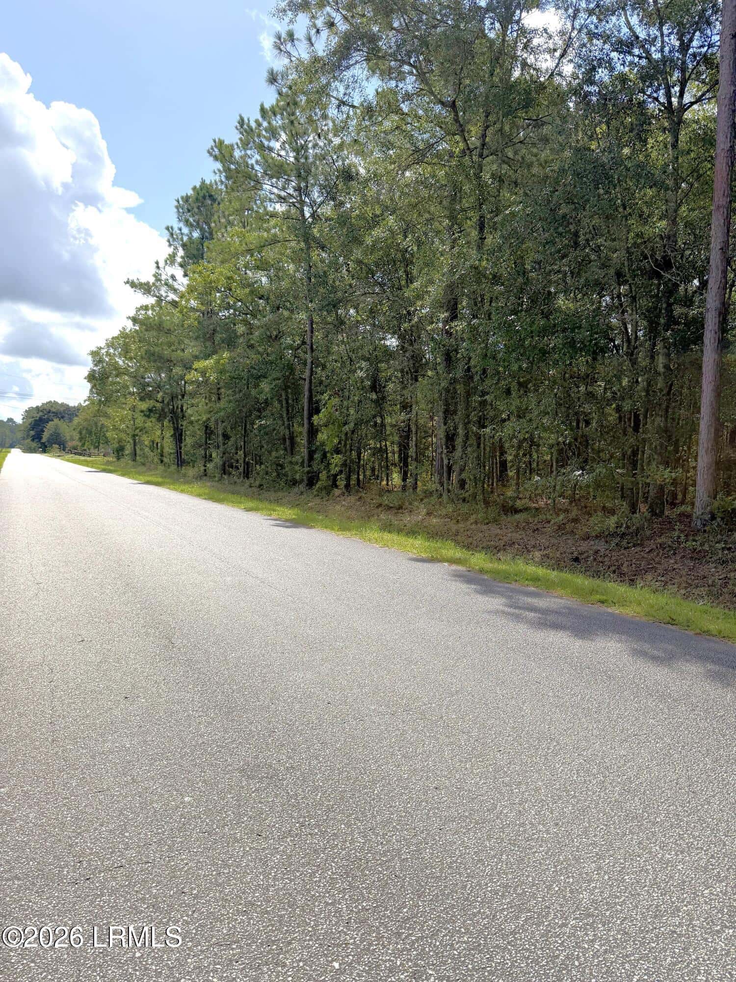 90 Honey Drive, Walterboro, SC 29488 — photo 2 of 6