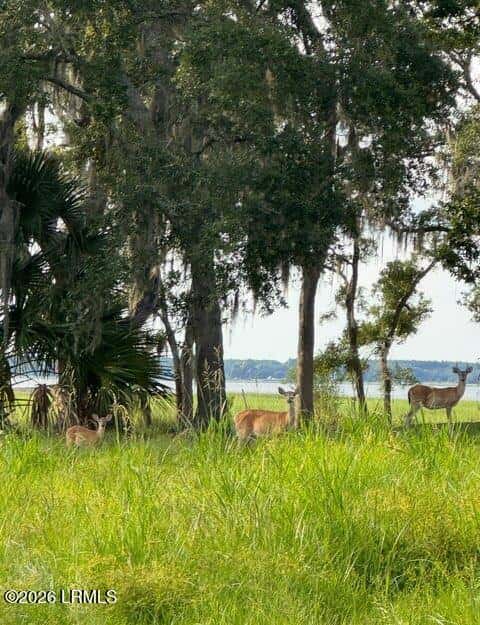 7 Turnstone Drive N, Beaufort, SC 29907 — photo 1 of 18