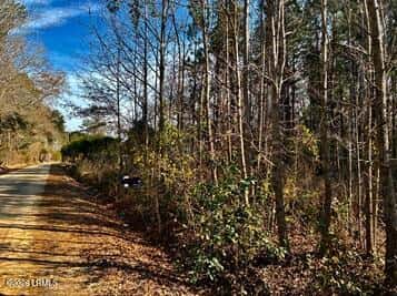 278 Sylvester Road, Varnville, SC 29944 — photo 1 of 3