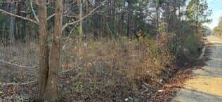 278 Sylvester Road, Varnville, SC 29944 — photo 2 of 3