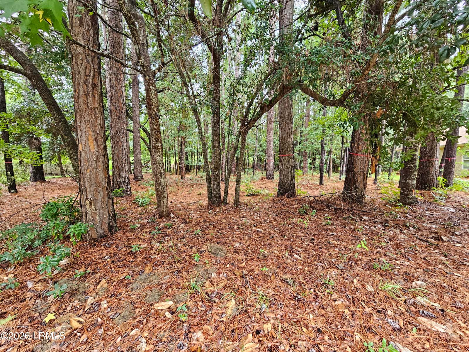 16 Cutter Circle, Bluffton, SC 29909 — photo 2 of 4