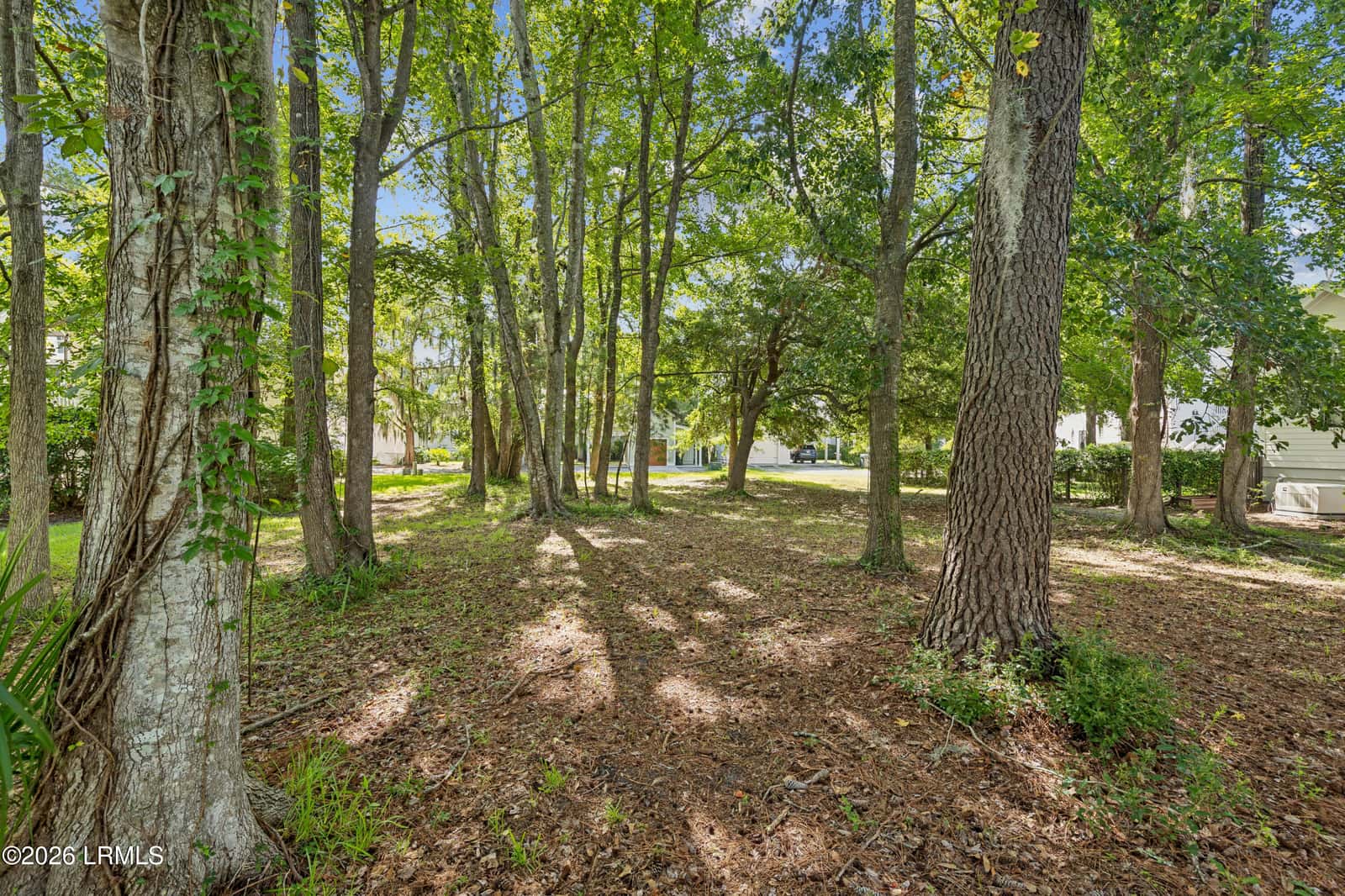 55 James Habersham, Beaufort, SC 29906 — photo 13 of 24
