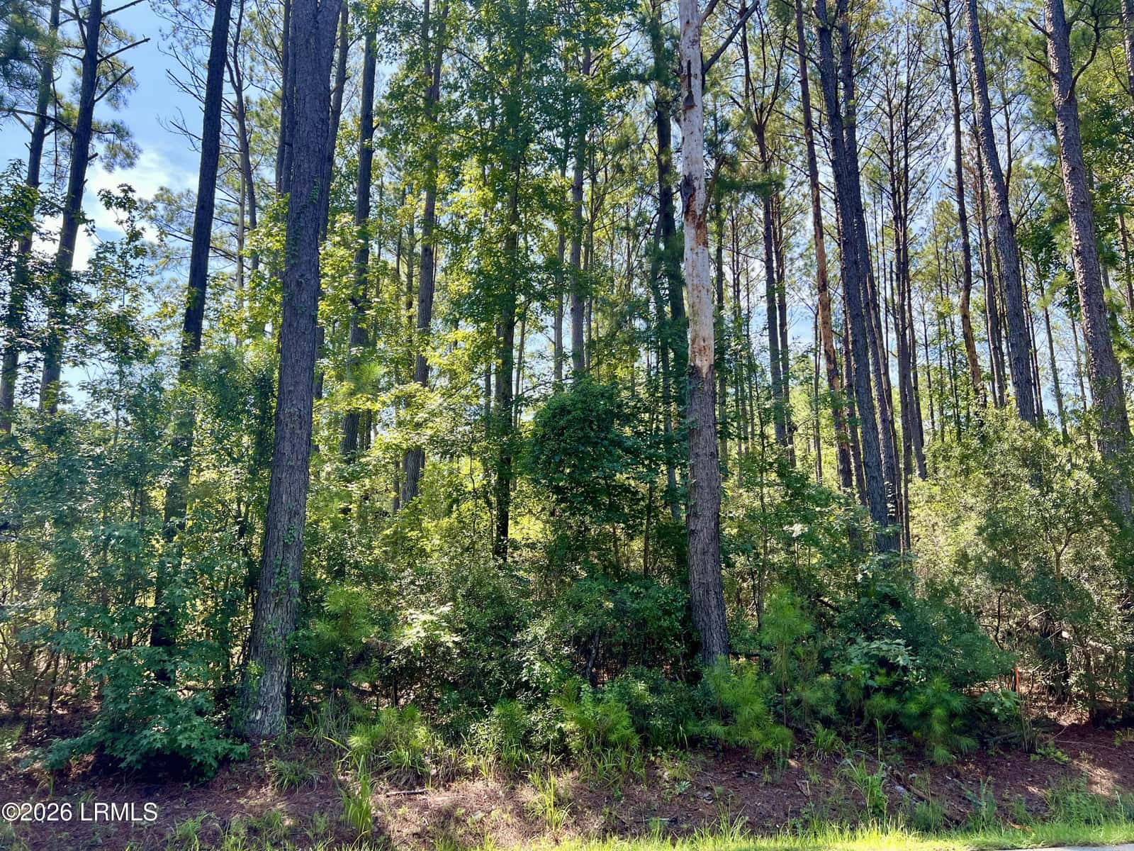 387 Founders Oak Way, Yemassee, SC 29945 — photo 2 of 15
