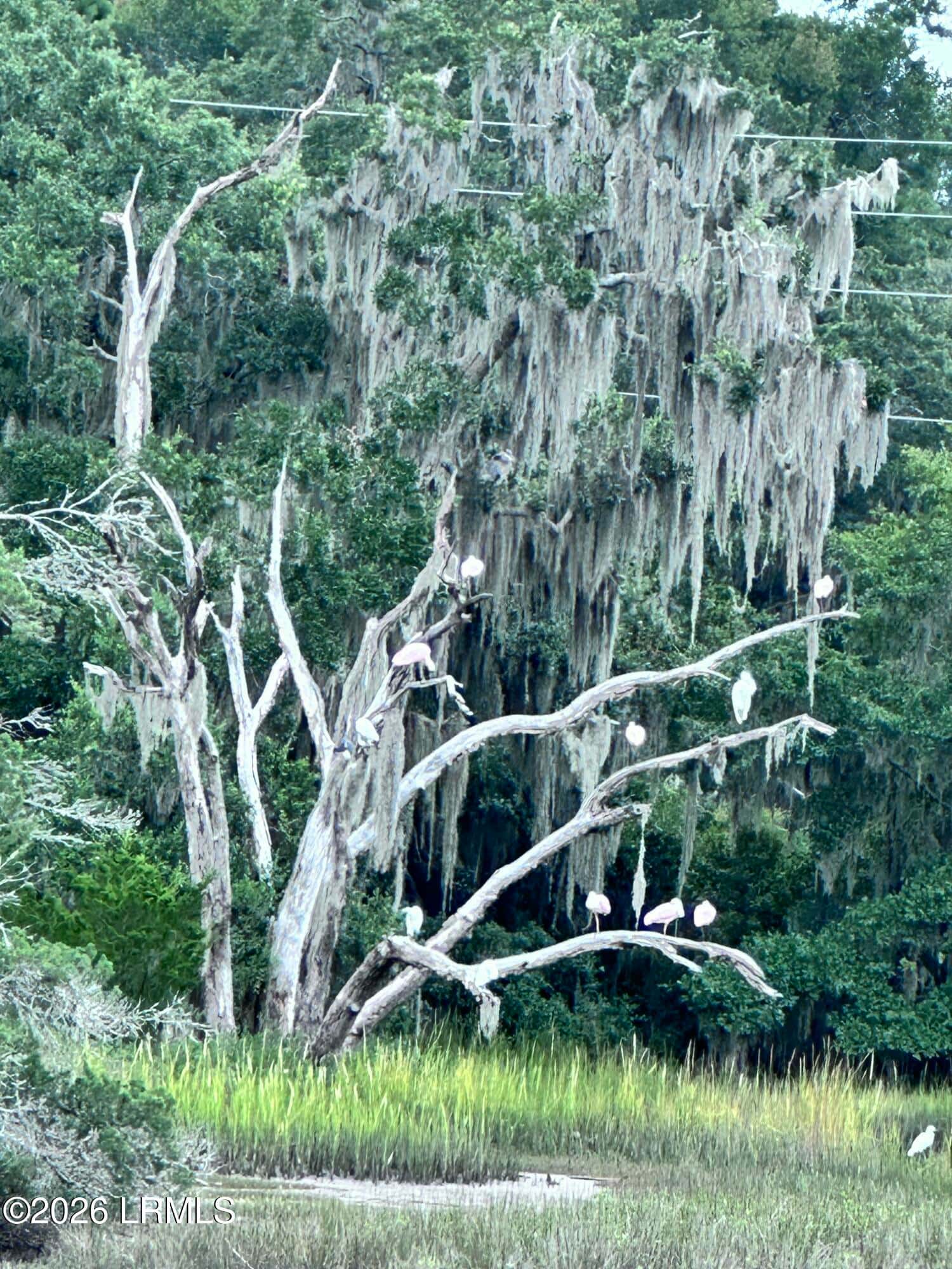 11 Rising Tide Drive A, Beaufort, SC 29902 — photo 17 of 33