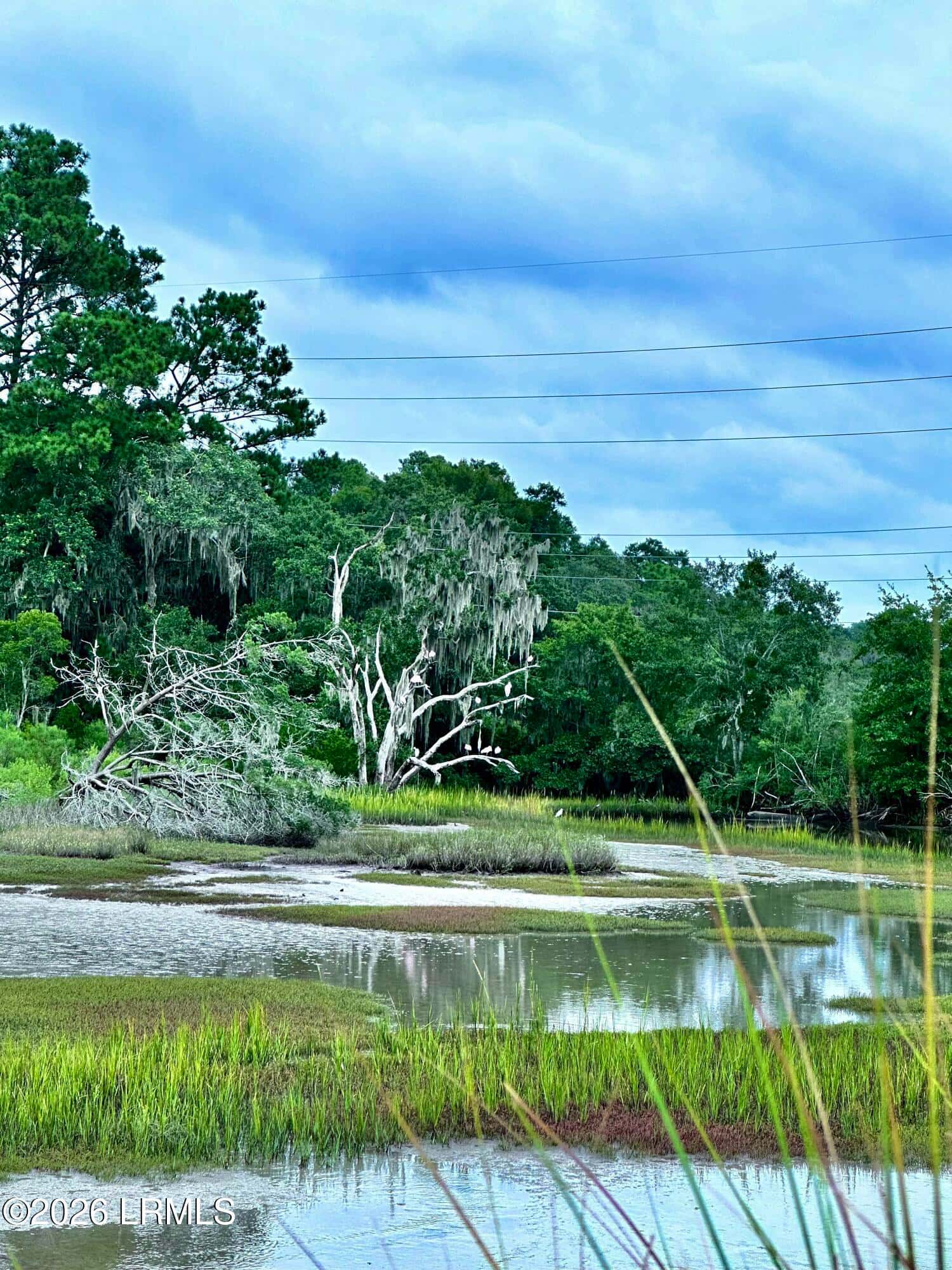 11 Rising Tide Drive A, Beaufort, SC 29902 — photo 6 of 33