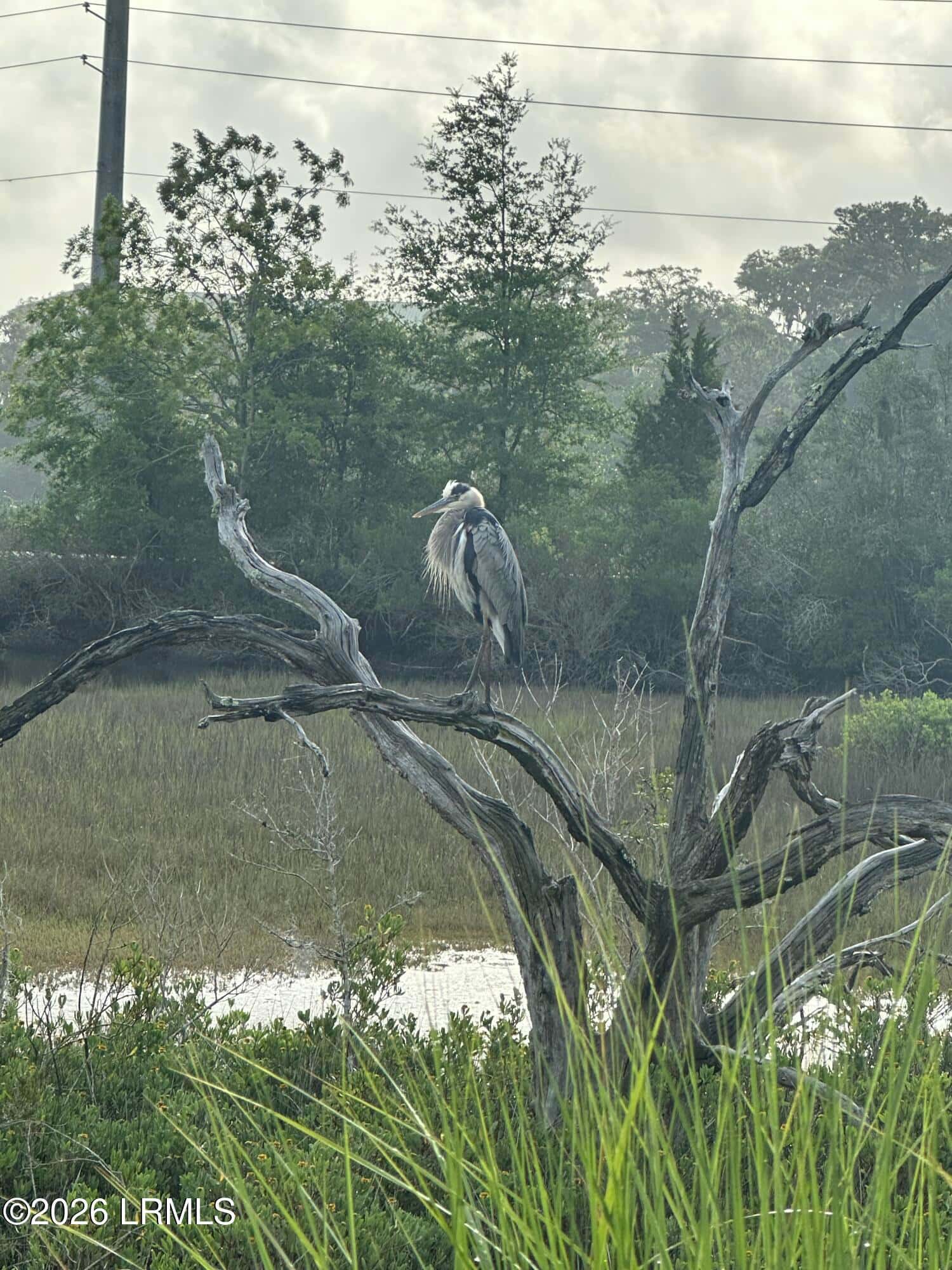 11 Rising Tide Drive A, Beaufort, SC 29902 — photo 33 of 33