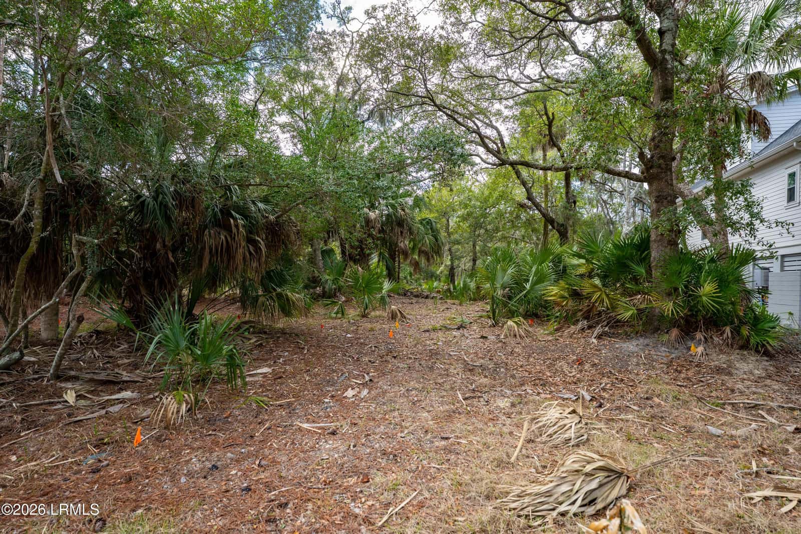 211 Deer Run Road, Fripp Island, SC 29920 — photo 8 of 29