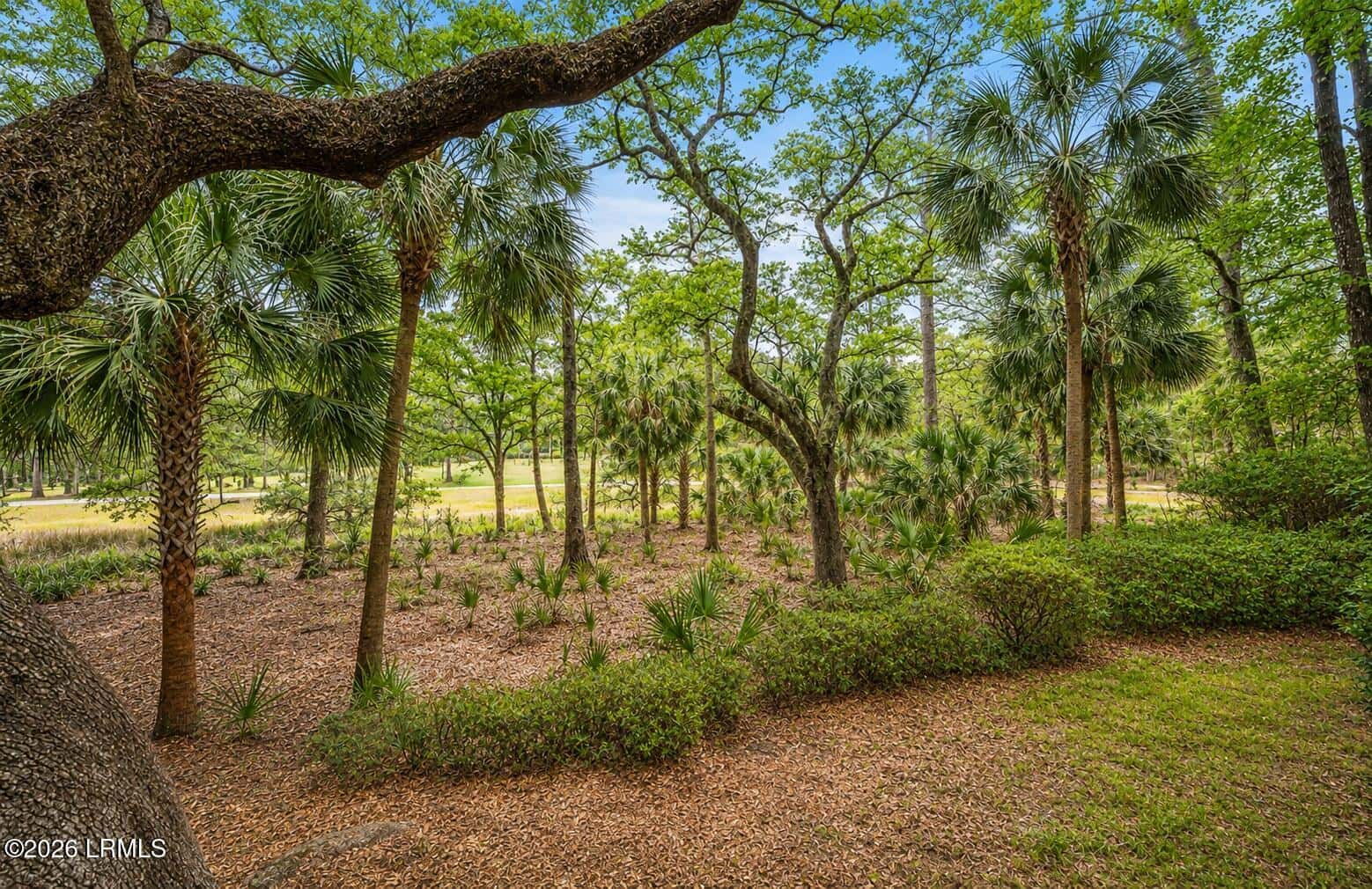 8 Chechessee Circle, Okatie, SC 29909 — photo 3 of 58