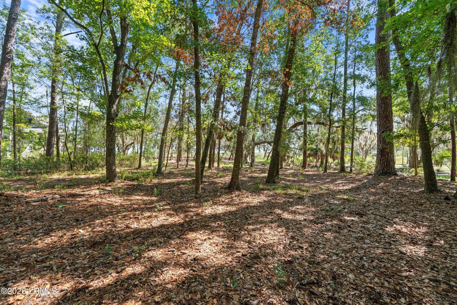 208 Black Skimmer Drive W, Beaufort, SC 29907 — photo 11 of 15