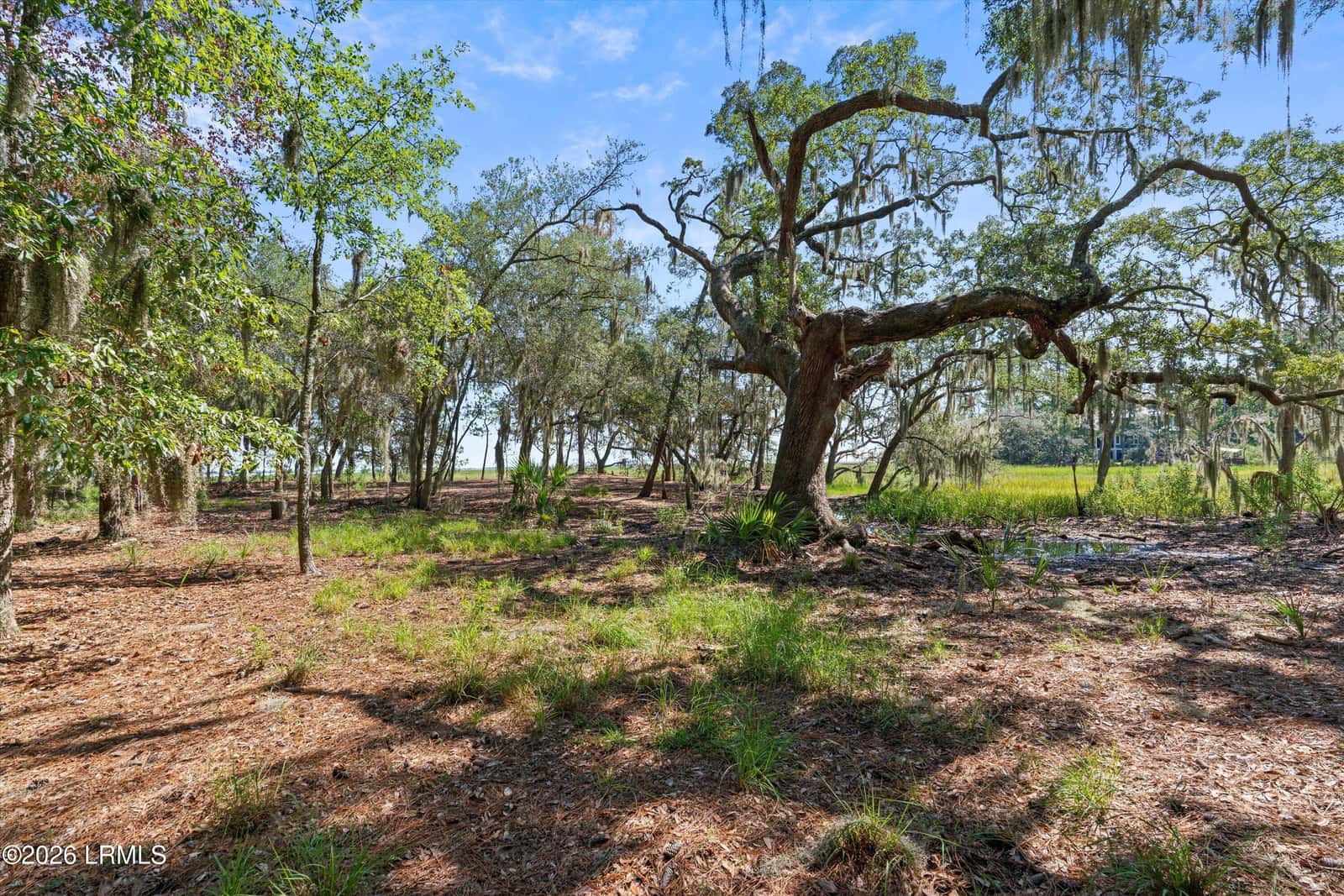 208 Black Skimmer Drive W, Beaufort, SC 29907 — photo 12 of 15