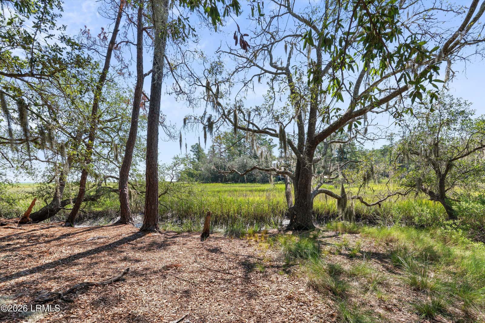 208 Black Skimmer Drive W, Beaufort, SC 29907 — photo 10 of 15