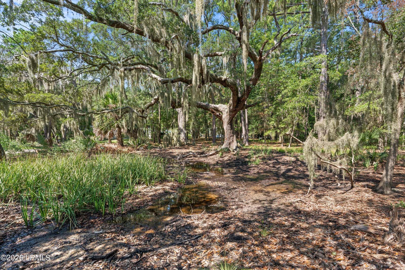 208 Black Skimmer Drive W, Beaufort, SC 29907 — photo 9 of 15