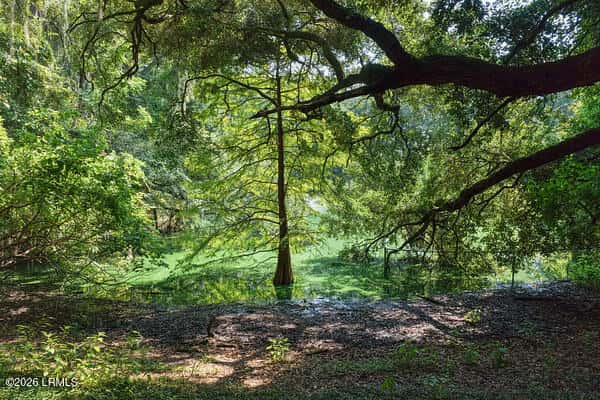 Beaufort, SC, 29902 — photo 35 of 49