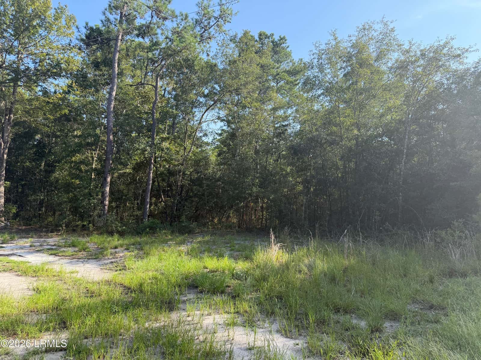60 Rosa Scott Drive, St. Helena Island, SC 29920 — photo 1 of 2