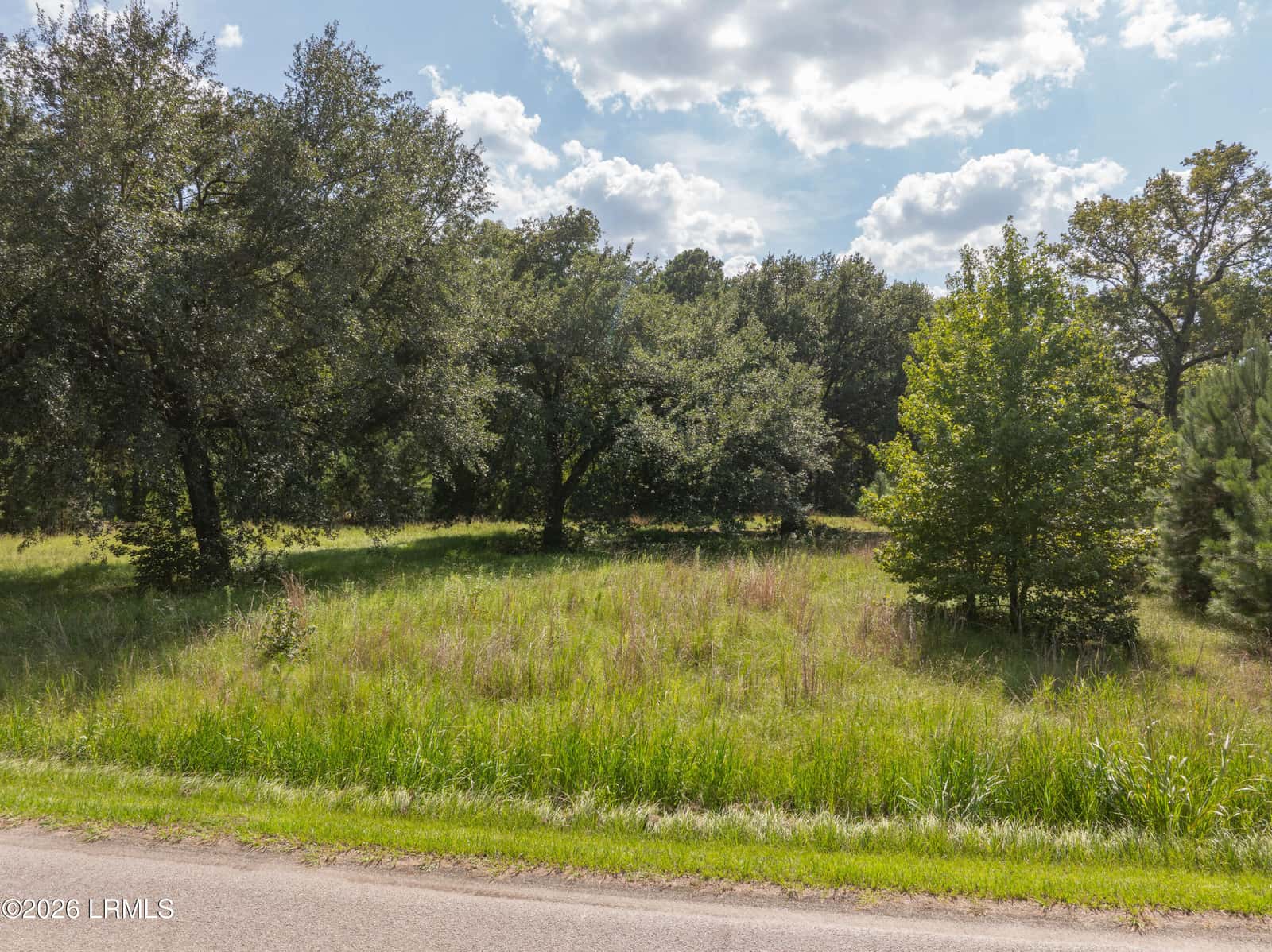 23 Green Street, Yemassee, SC 29945 — photo 4 of 17