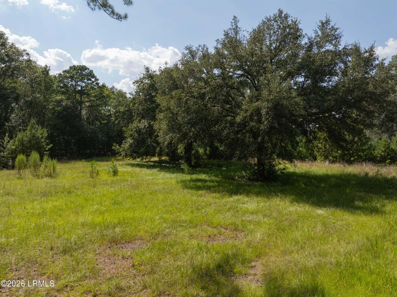 23 Green Street, Yemassee, SC 29945 — photo 8 of 17