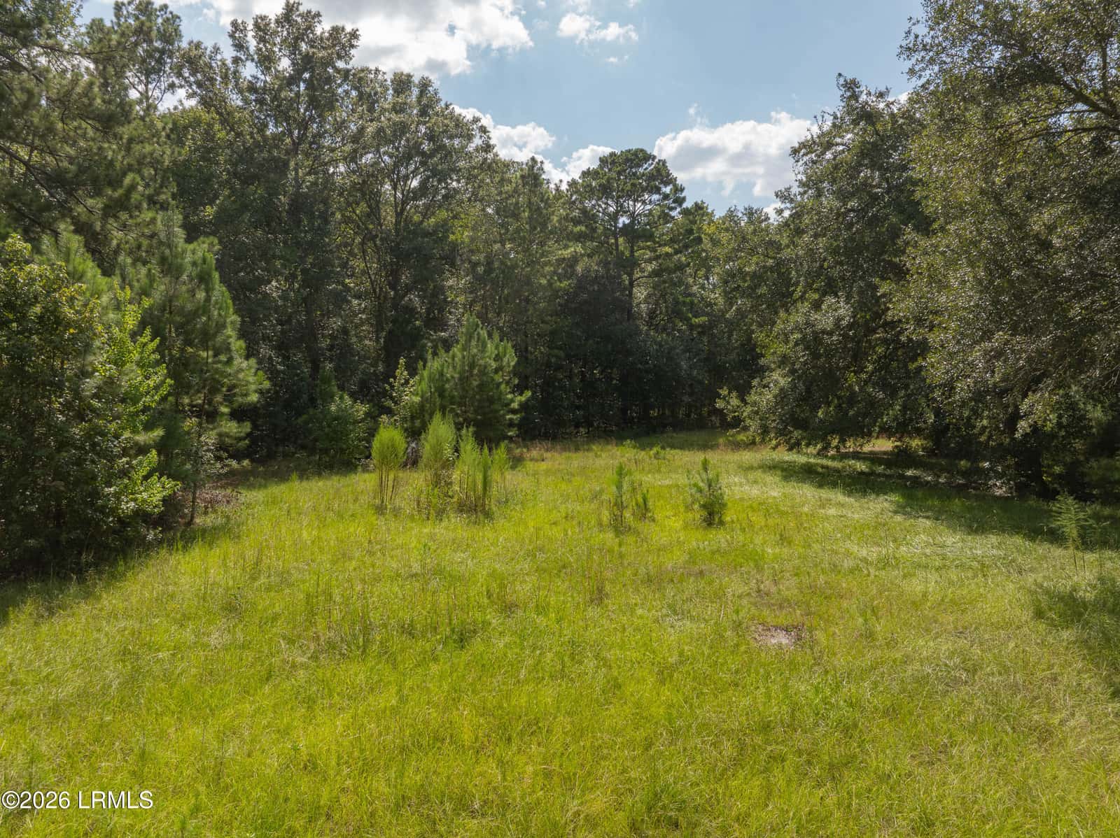 23 Green Street, Yemassee, SC 29945 — photo 1 of 17