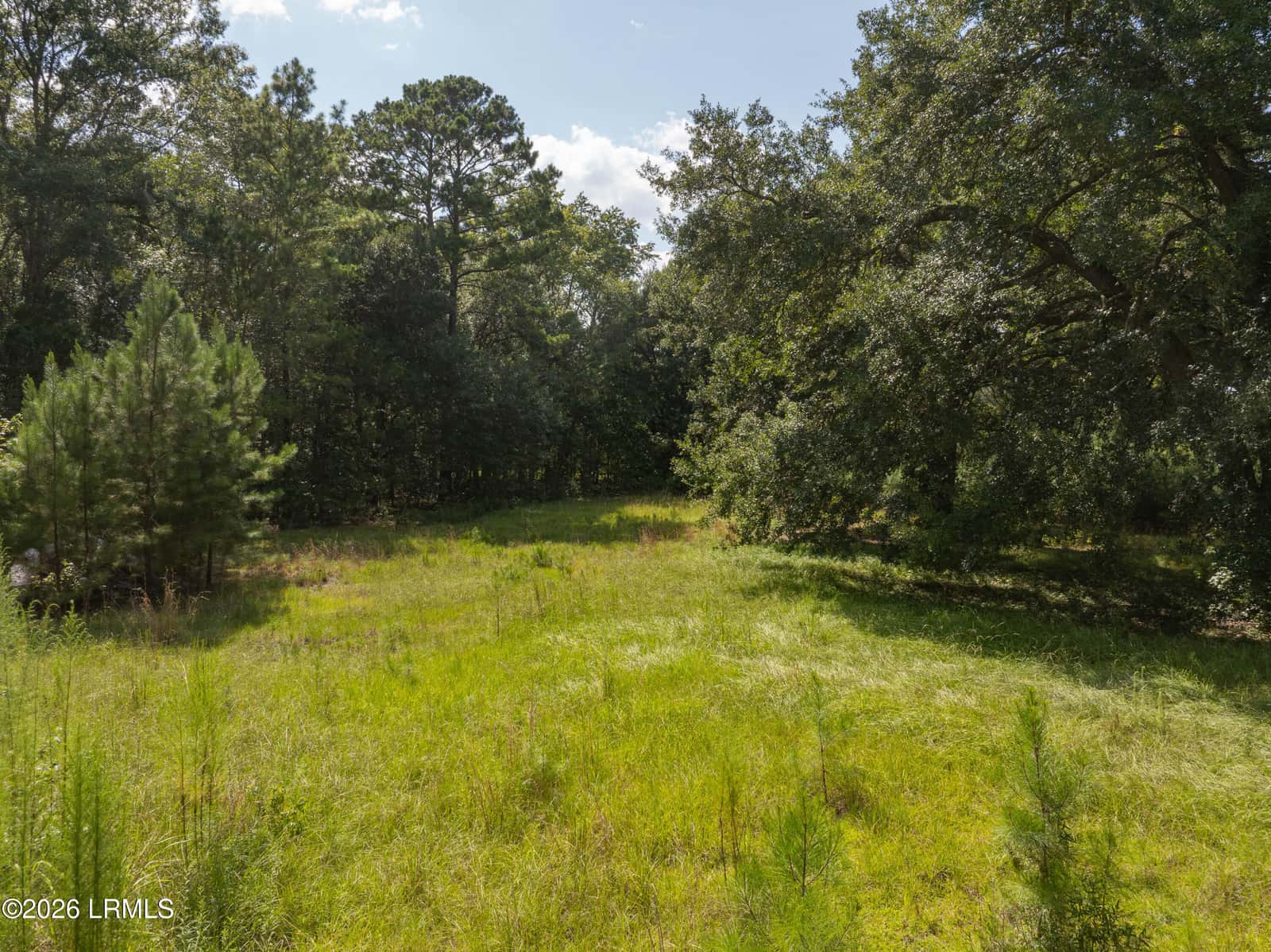 23 Green Street, Yemassee, SC 29945 — photo 9 of 17