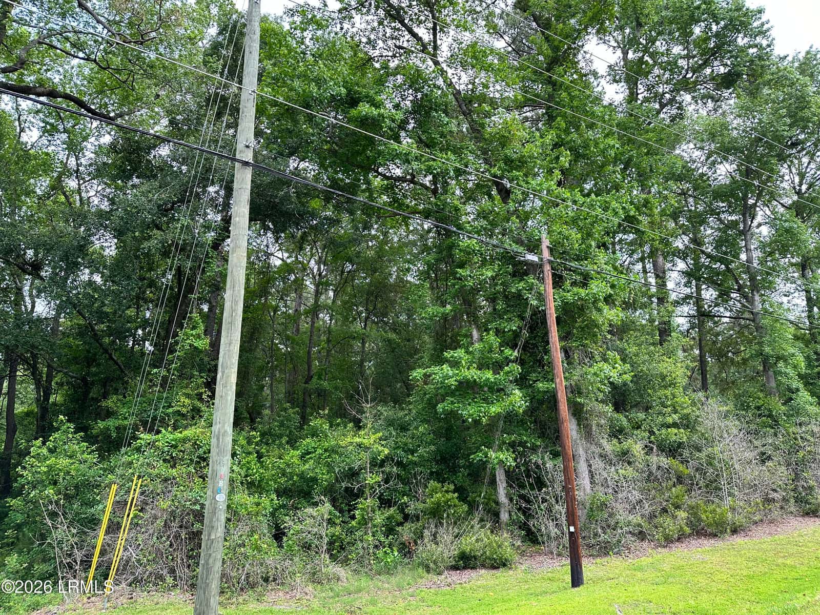 Lot 3 Estelle Road, Beaufort, SC 29906 — photo 4 of 6