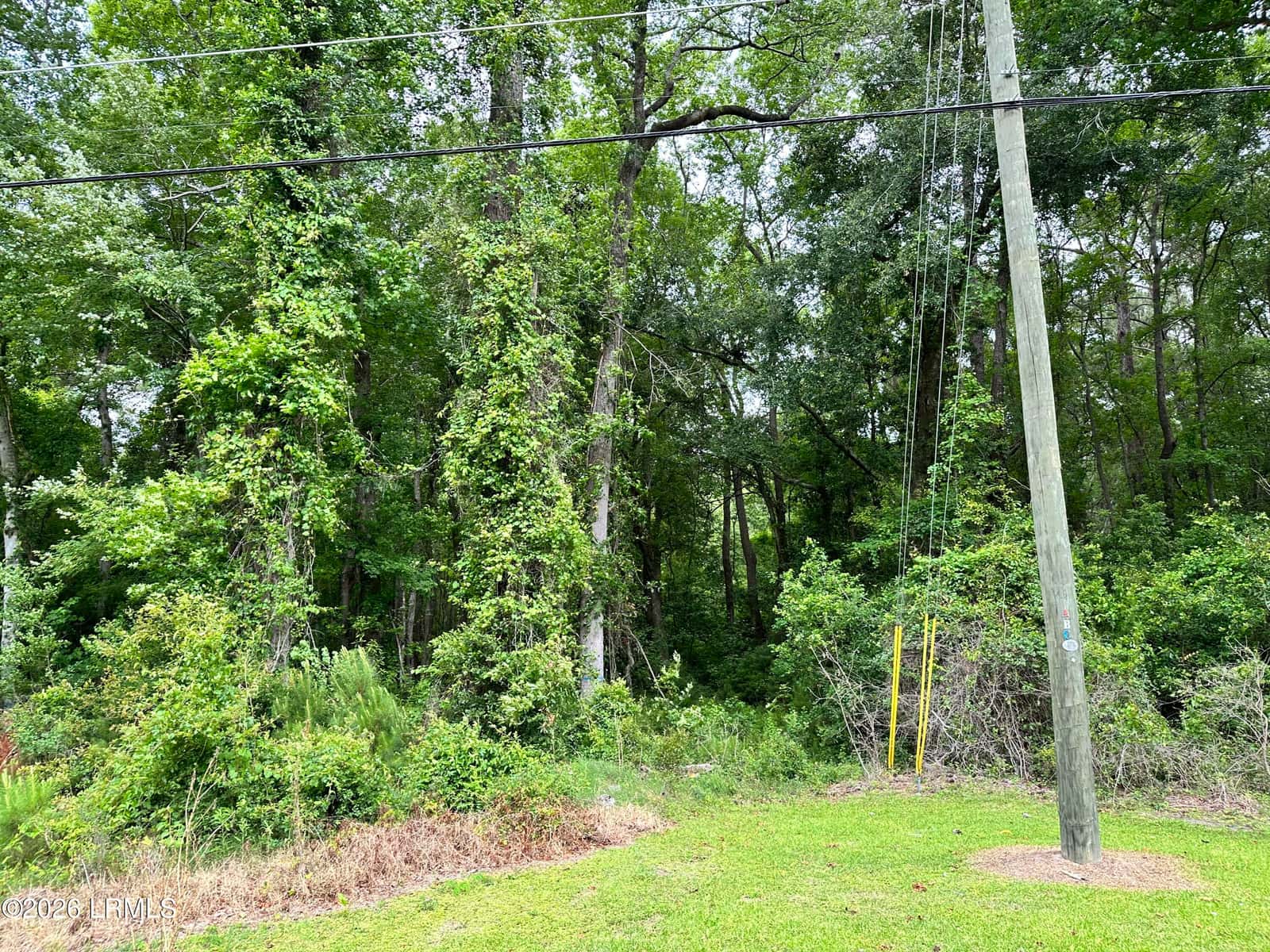Lot 3 Estelle Road, Beaufort, SC 29906 — photo 5 of 6
