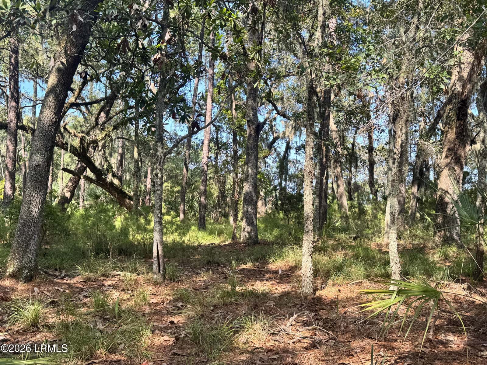 7 N Point Trail, Beaufort, SC 29907 — photo 4 of 23