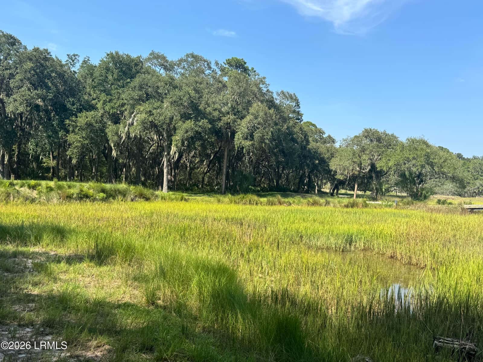 7 N Point Trail, Beaufort, SC 29907 — photo 10 of 23