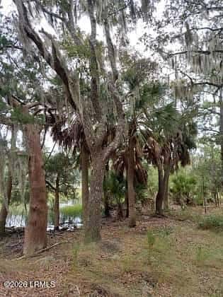 8 Governor Blake Drive, Beaufort, SC 29907 — photo 1 of 3