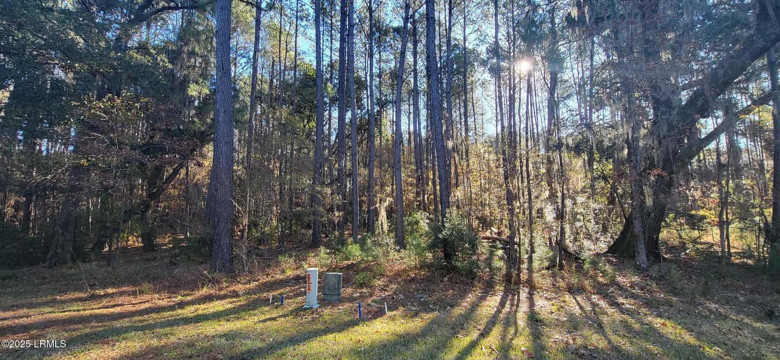 472 Chicora Lane, Yemassee, SC 29945 — photo 9 of 10