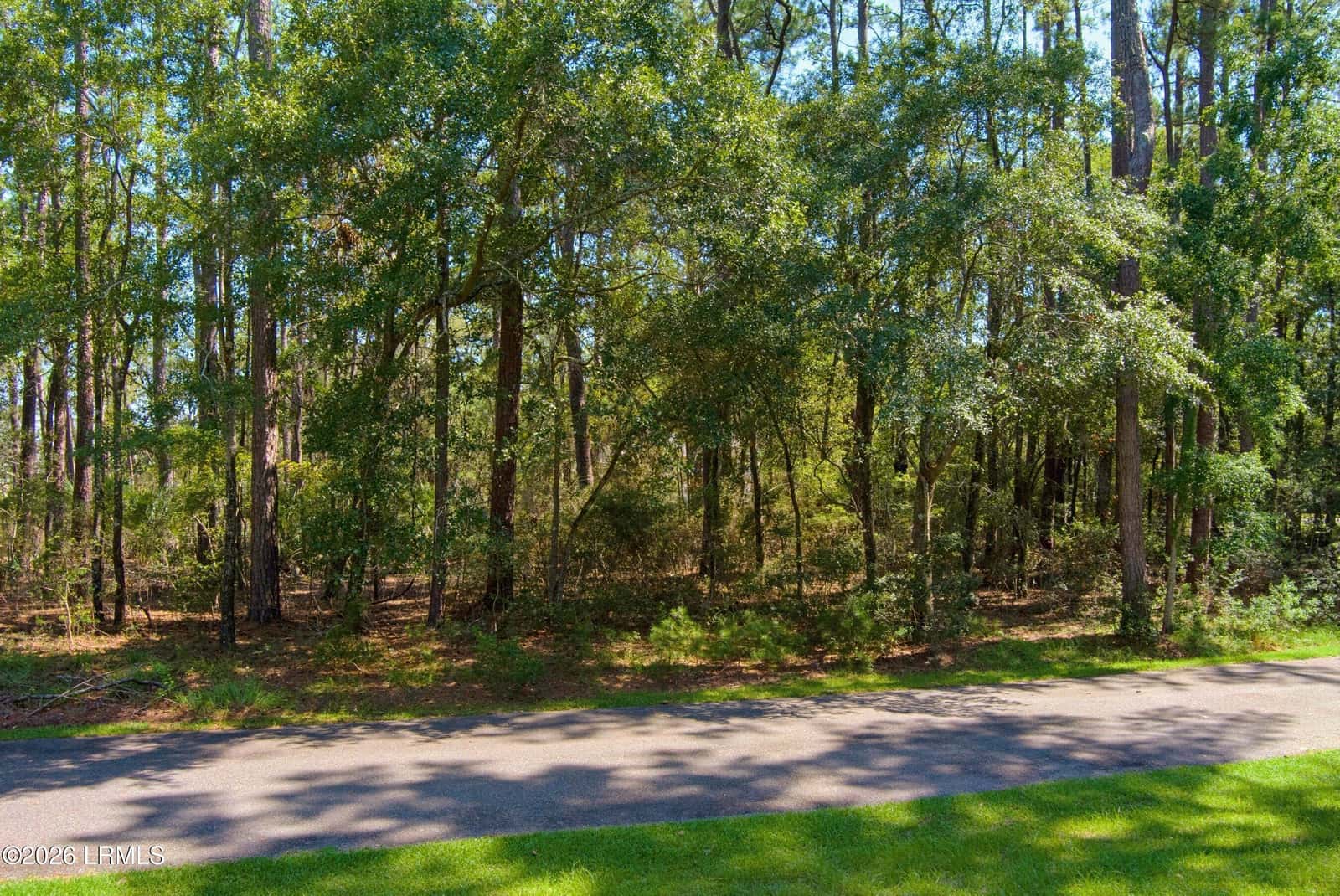 2 Lake Point Drive, Beaufort, SC 29907 — photo 8 of 15