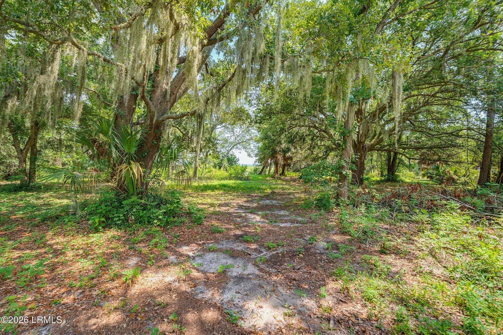 95 Harbor Oaks Lane, St. Helena Island, SC 29920 — photo 19 of 22