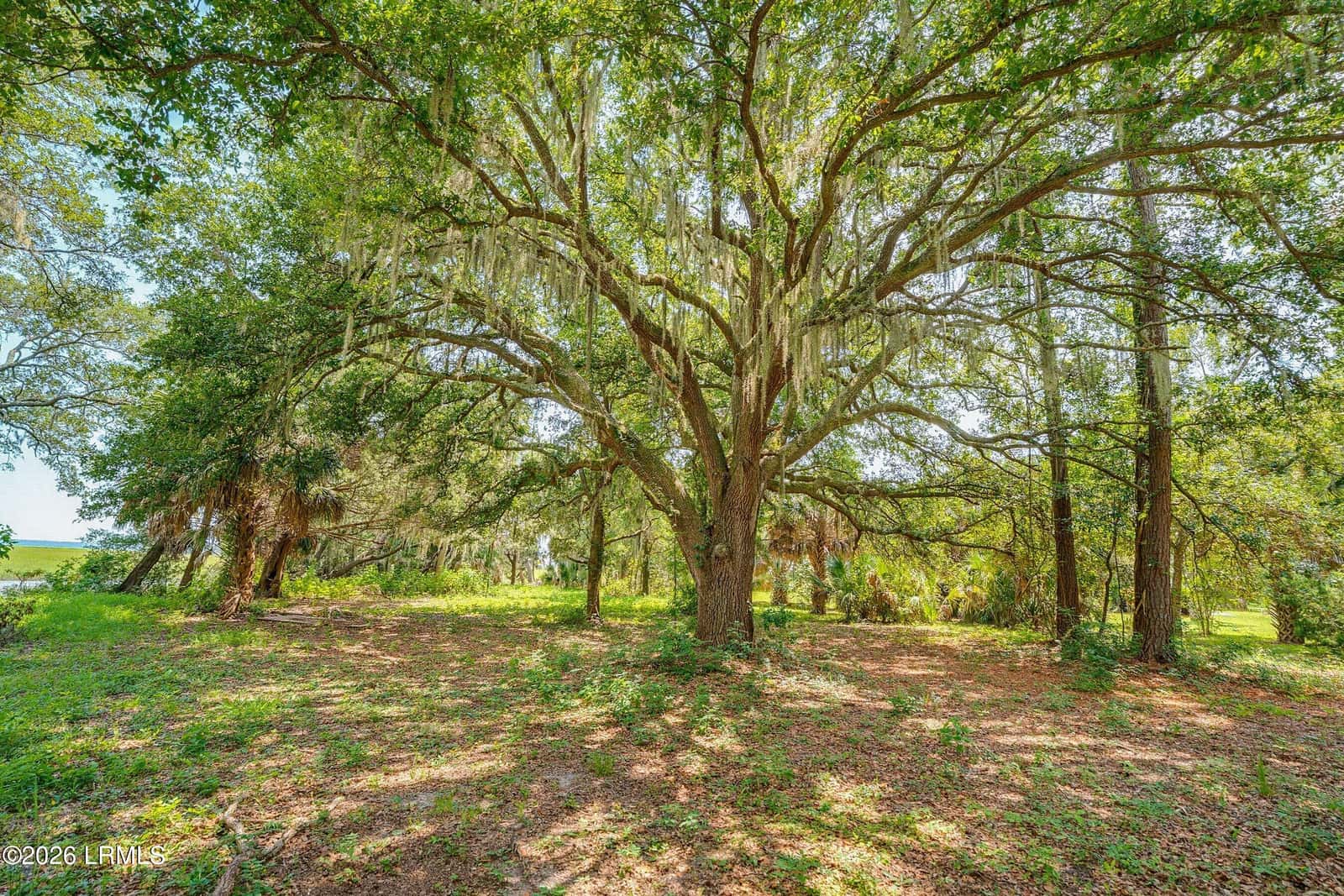 95 Harbor Oaks Lane, St. Helena Island, SC 29920 — photo 20 of 22