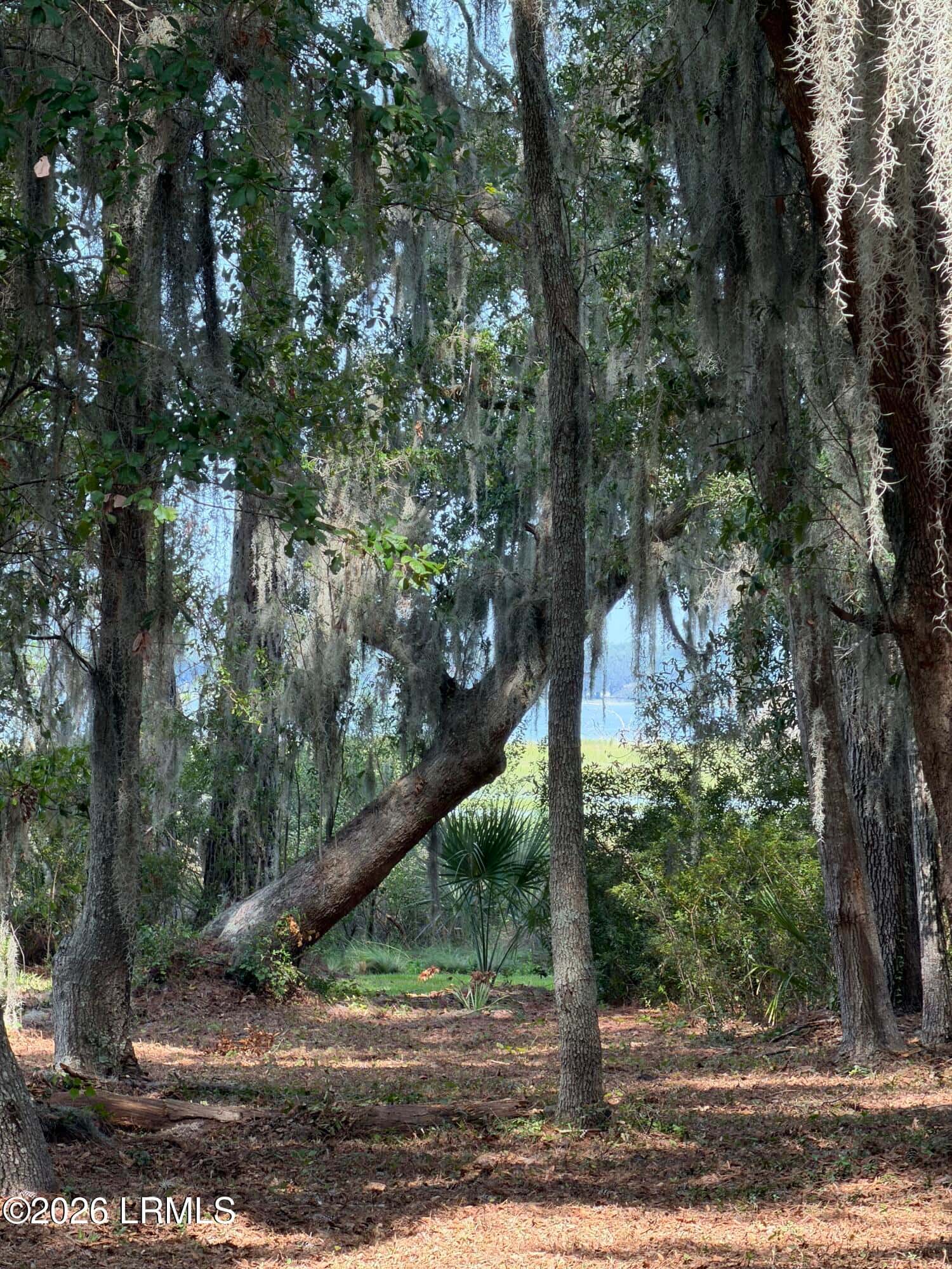 72 Front Street, St. Helena Island, SC 29920 — photo 9 of 16