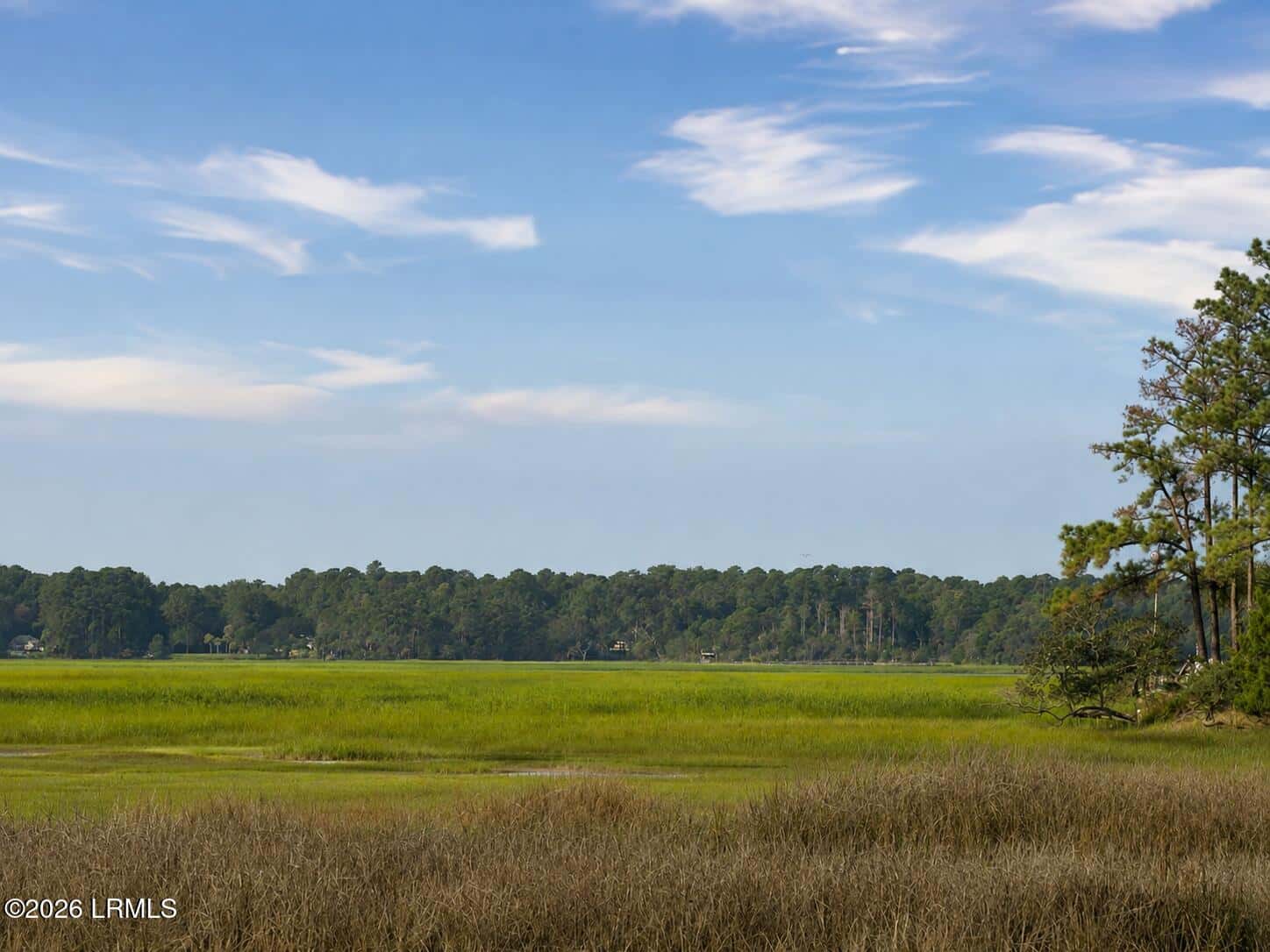 2 Bent Tree Lane, Okatie, SC 29909 — photo 2 of 33