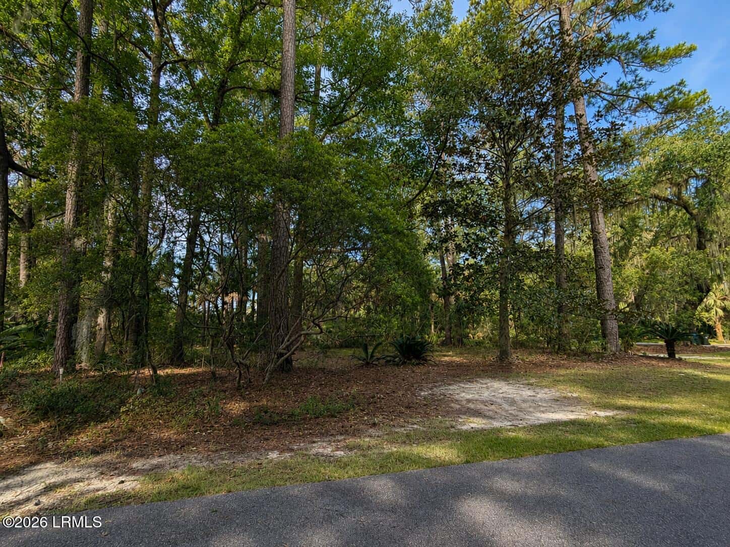 2 Bent Tree Lane, Okatie, SC 29909 — photo 4 of 33