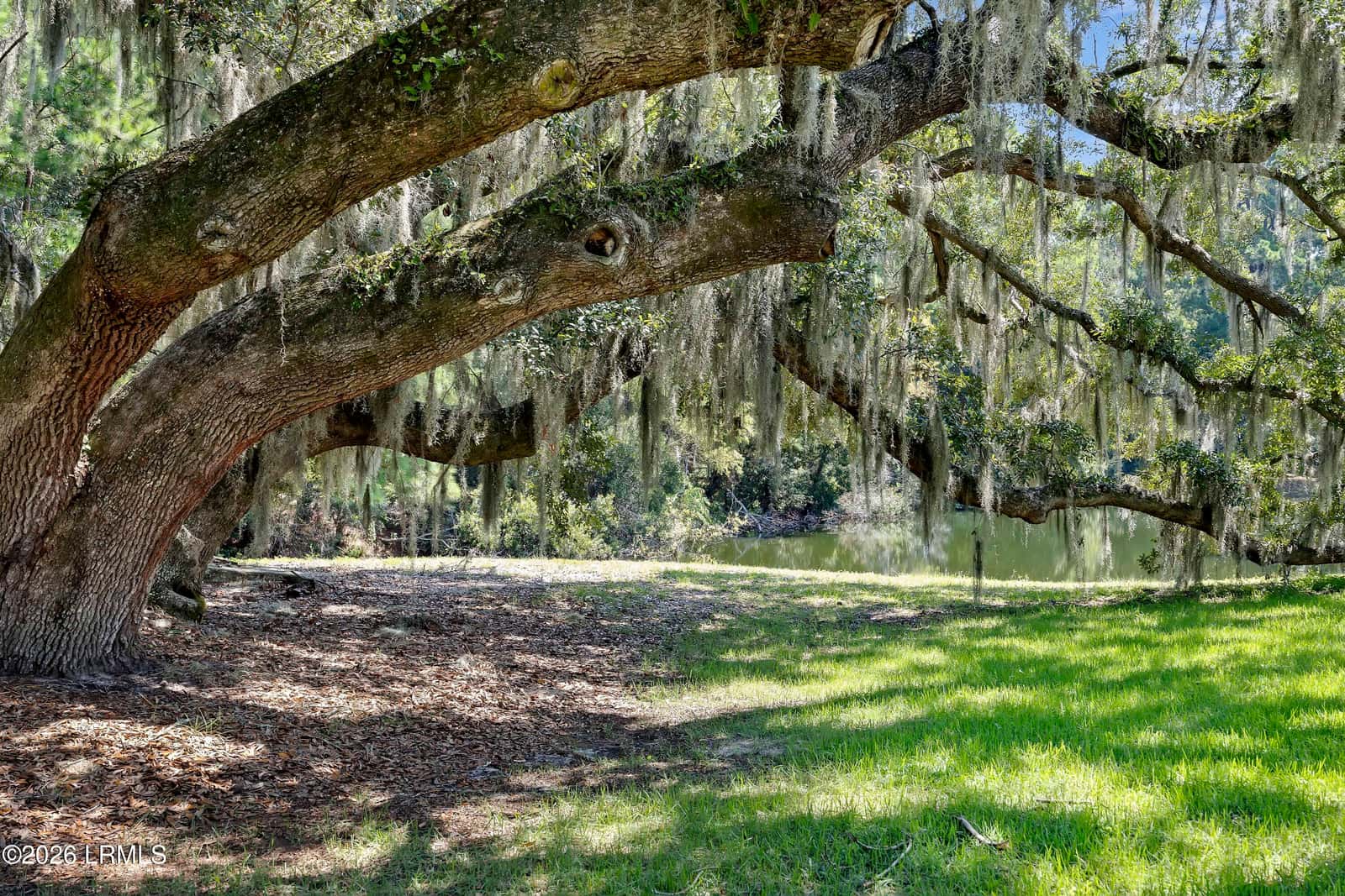 85 Patina Drive, Beaufort, SC 29907 — photo 43 of 47