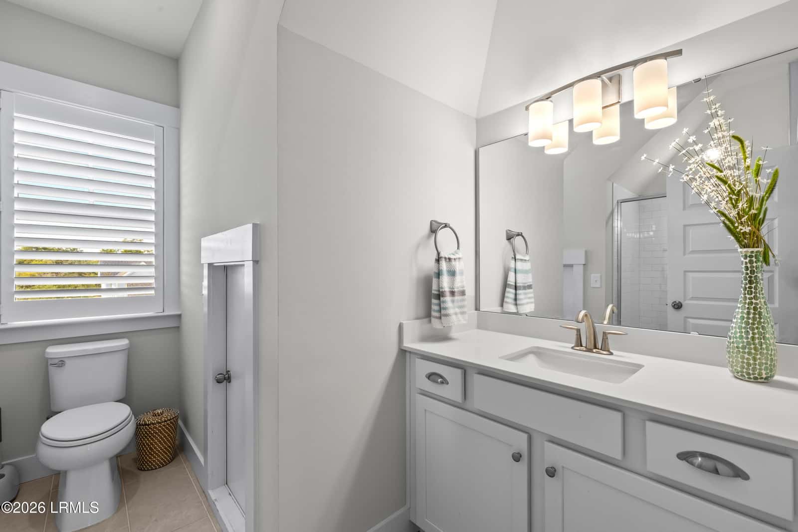 262 Goldeneye Lane, Bluffton, SC 29909 — photo 50 of 63