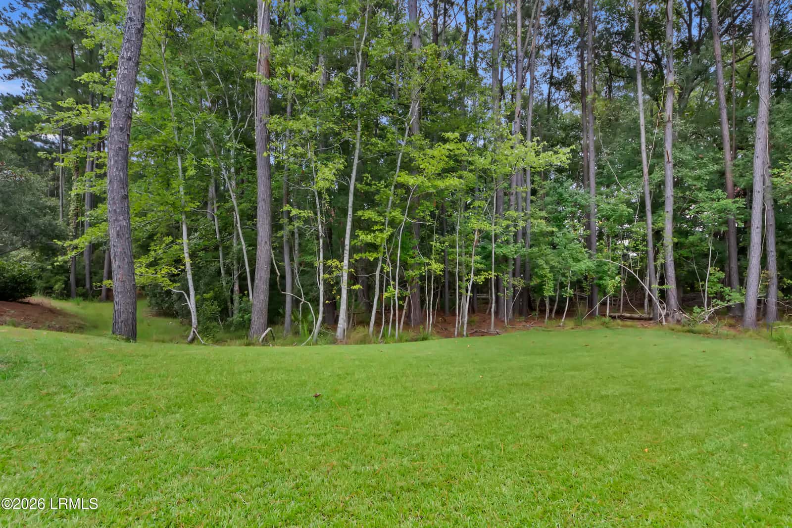 36 Blue Trail Court, Bluffton, SC 29910 — photo 39 of 81