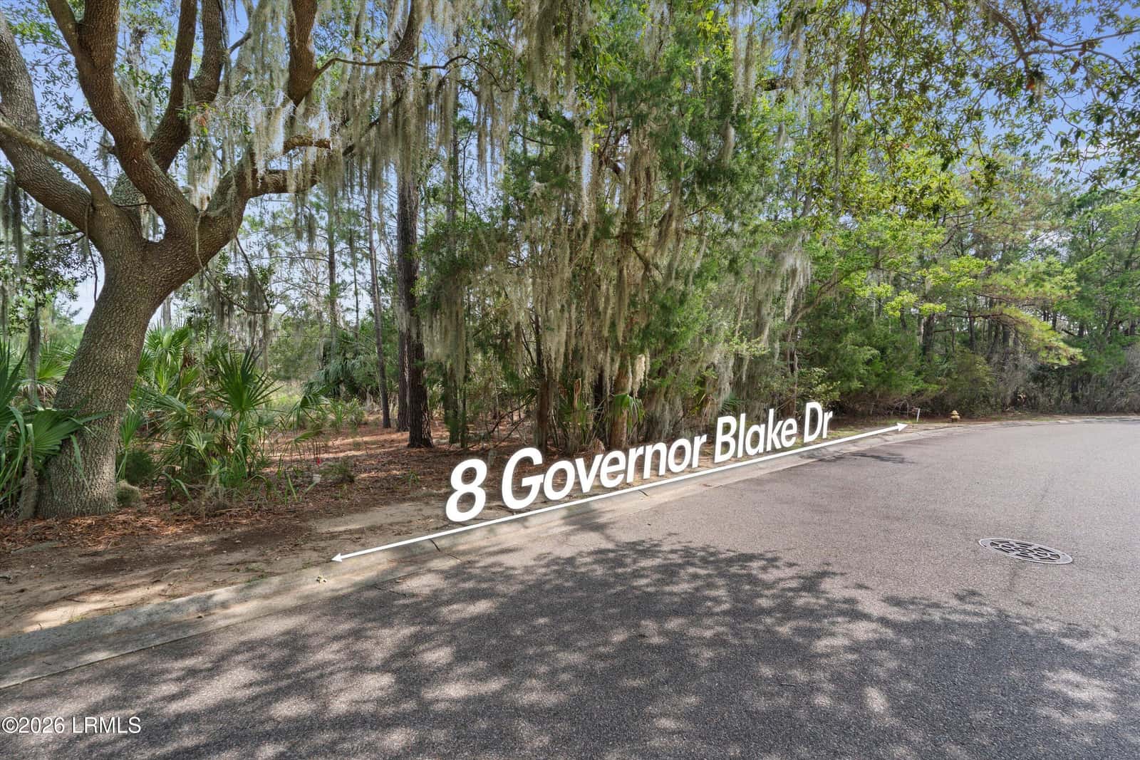 8 Governor Blake Drive, Beaufort, SC 29907 — photo 6 of 27