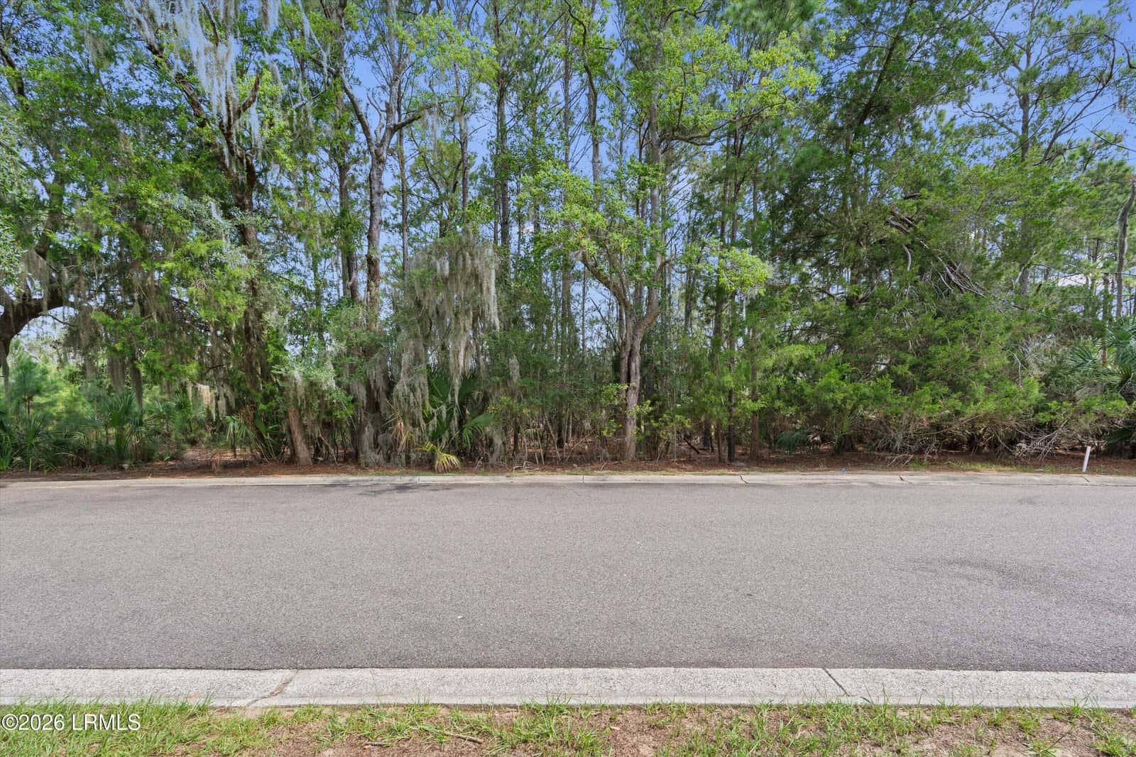 8 Governor Blake Drive, Beaufort, SC 29907 — photo 8 of 27